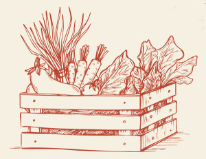 Vegetables